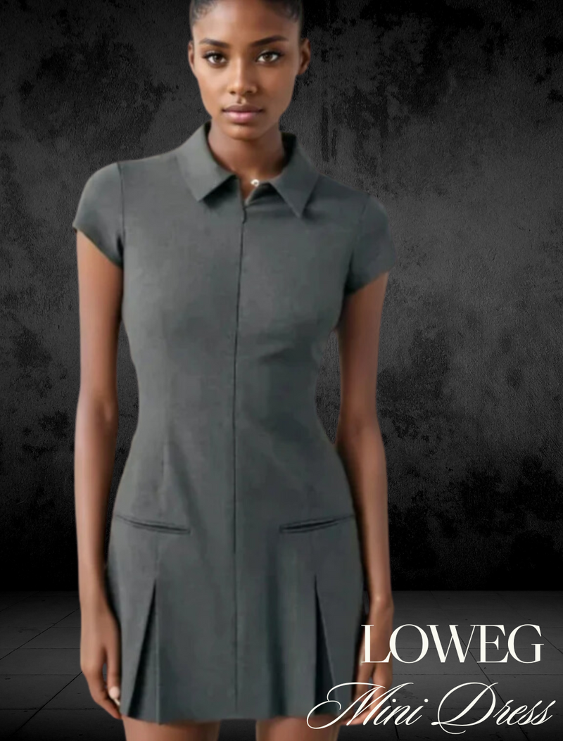 Loweg Mini Dress - Le Lys Blanc